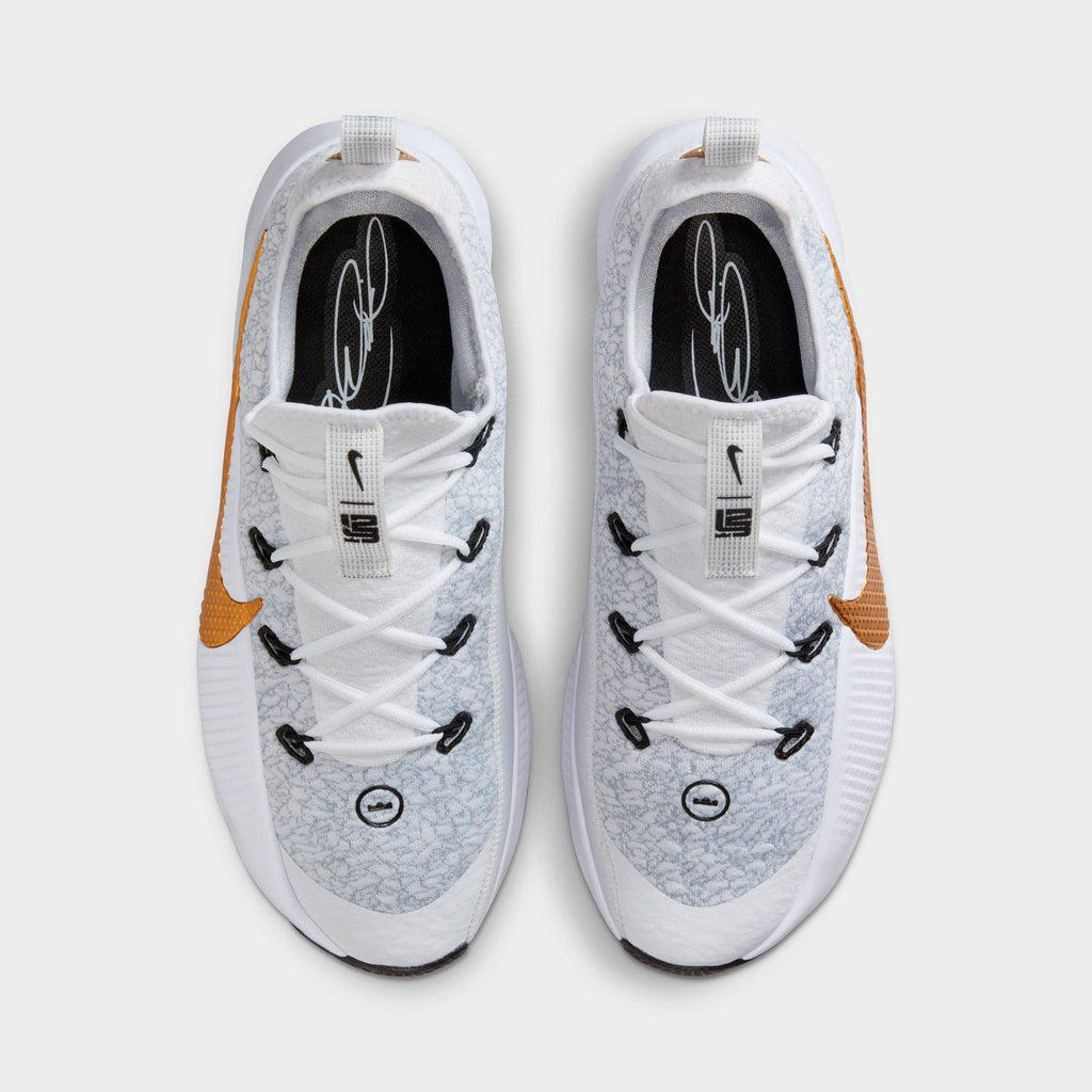 Men's Nike LeBron TR1 Training Shoes - Wolf Grey/White/Bronze/Metallic Gold - view 5
