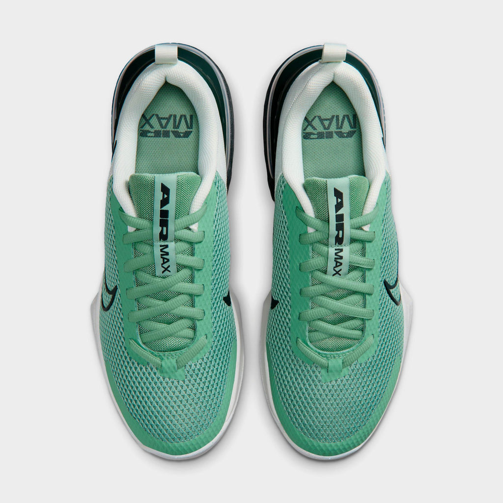 Men's Nike Air Max Alpha Trainer 6 Training Shoes - Steam/Spruce Aura/Off White/Black Spruce - view 5