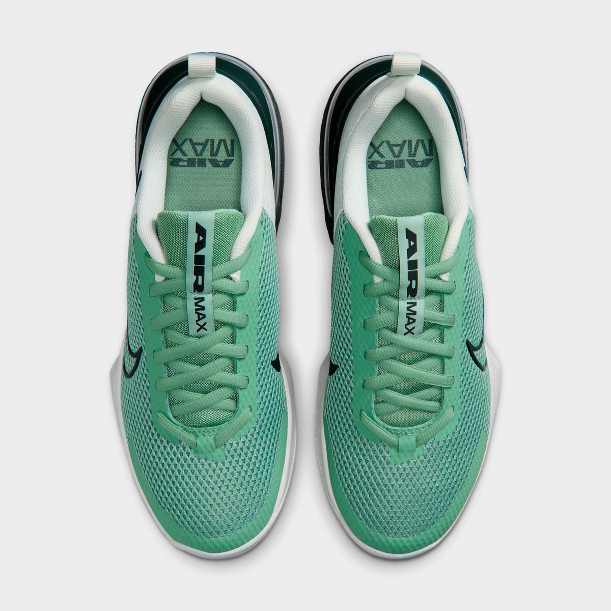Men's Nike Air Max Alpha Trainer 6 Training Shoes - Steam/Spruce Aura/Off White/Black Spruce - view 5
